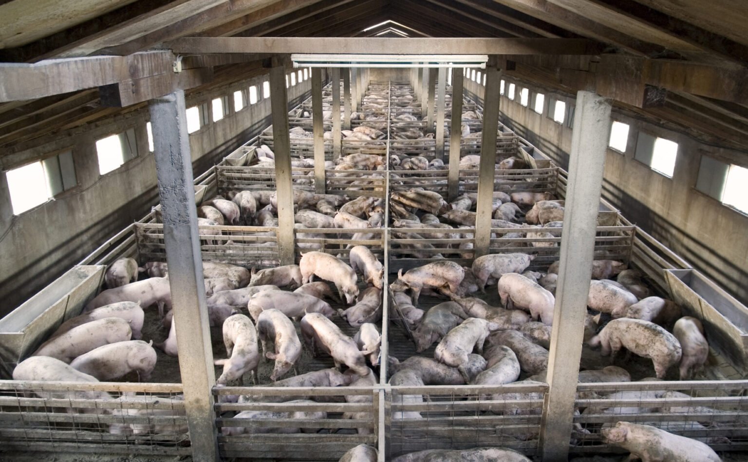 missouri-dnr-weakens-regulations-on-the-state-s-largest-cafos