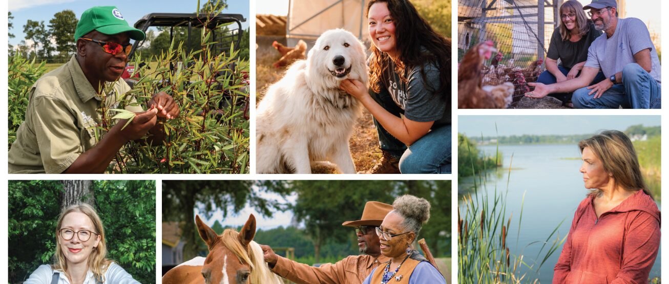 Featured image for “2025 Annual Report”